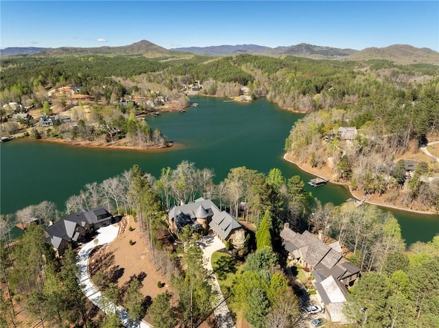 birds eye view of property featuring a water and mountain view