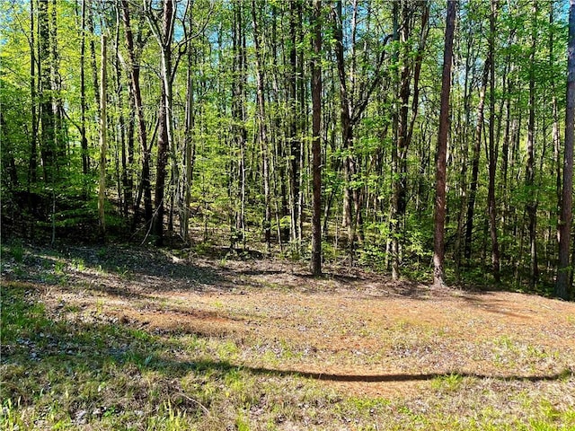 LOT80 Sequoia Trl, Westminster, SC 29693 - photo 1