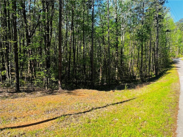 LOT80 Sequoia Trl, Westminster, SC 29693 - photo 2