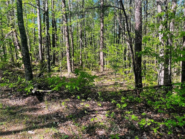 LOT80 Sequoia Trl, Westminster, SC 29693 - photo 4
