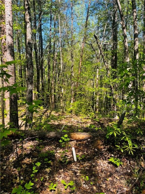 LOT80 Sequoia Trl, Westminster, SC 29693 - photo 5