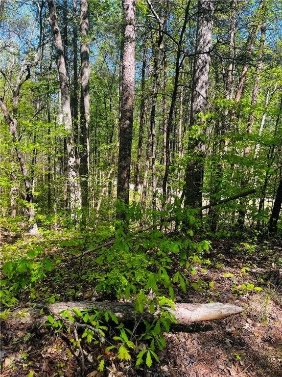LOT80 Sequoia Trl, Westminster, SC 29693 - photo 6