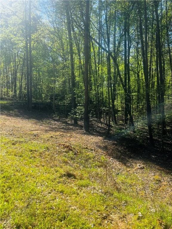 LOT80 Sequoia Trl, Westminster, SC 29693 - photo 7