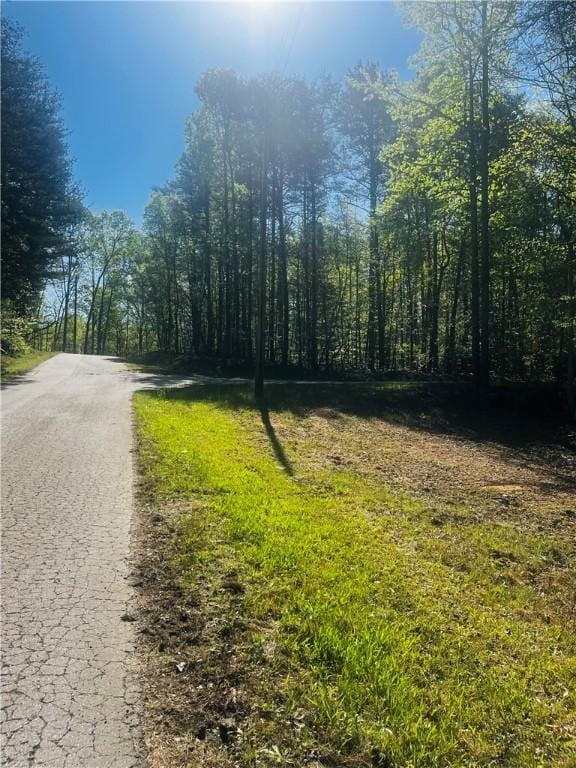 LOT80 Sequoia Trl, Westminster, SC 29693 - photo 8
