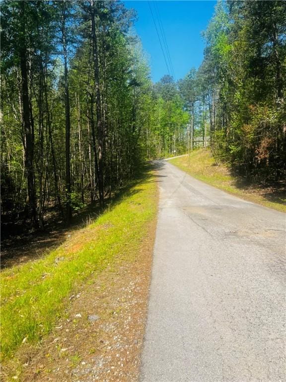 LOT80 Sequoia Trl, Westminster, SC 29693 - photo 9