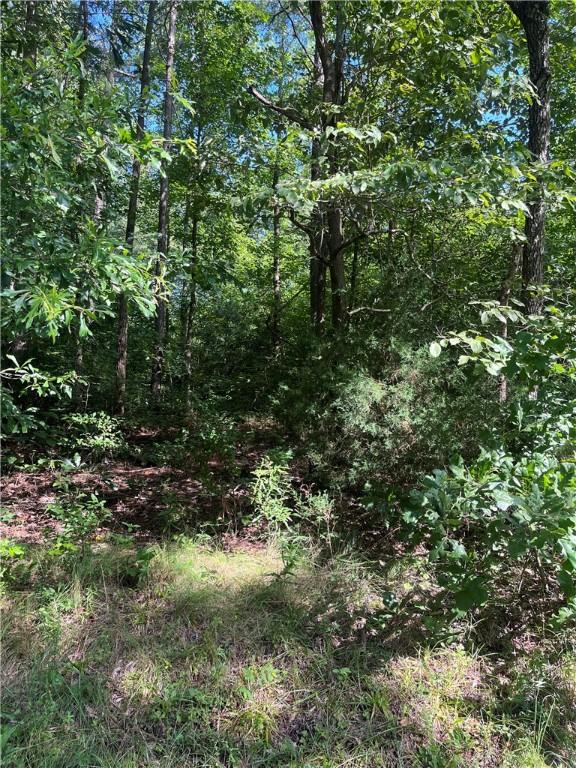 0 Pine Knoll Dr, Fair Play, SC 29643 - photo 3