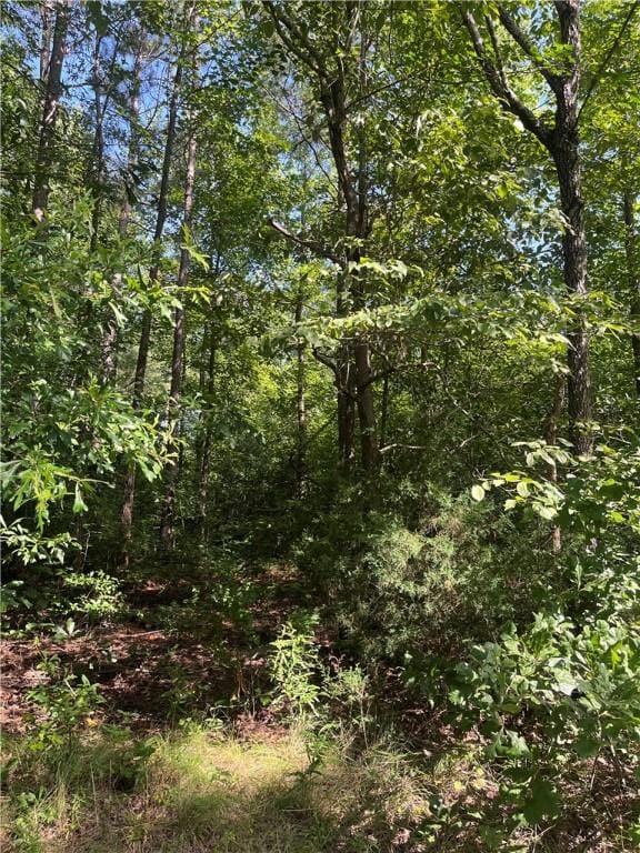 0 Pine Knoll Dr, Fair Play, SC 29643 - photo 4