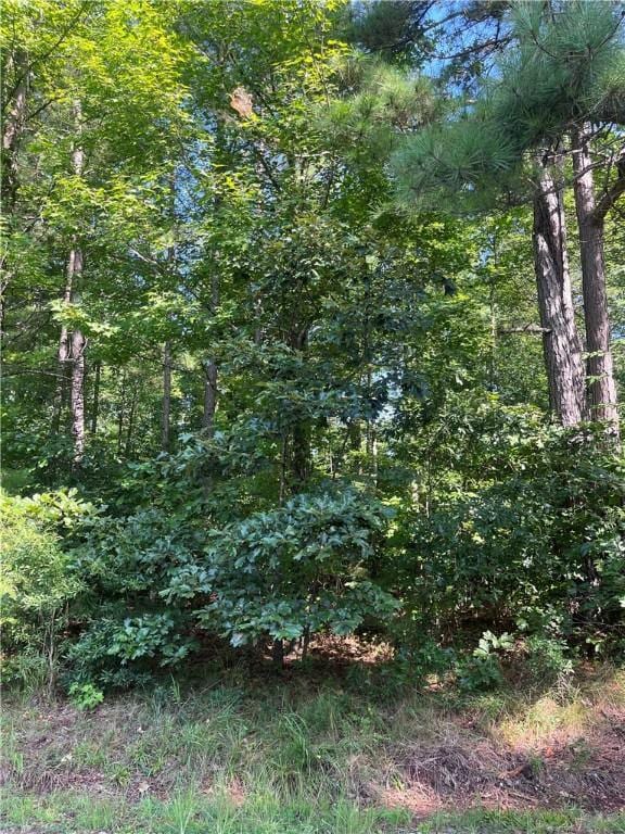 0 Pine Knoll Dr, Fair Play, SC 29643 - photo 5