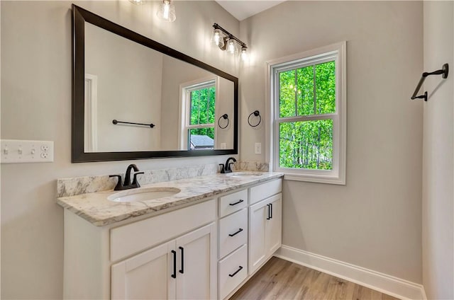 bathroom featuring wood-type flooring and vanity