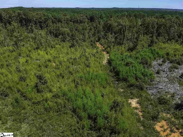 0 Roddy Rd, Woodruff, SC 29388 - photo 6