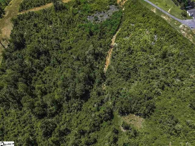 0 Roddy Rd, Woodruff, SC 29388 - photo 10
