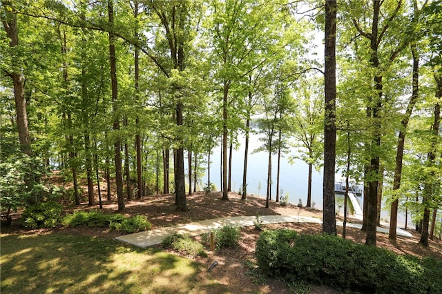 view of water feature