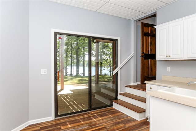 doorway featuring a water view, dark hardwood / wood-style floors, and sink