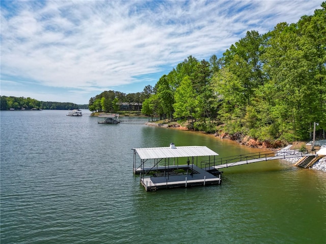 dock area with a water view