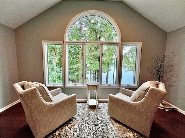 sitting room featuring vaulted ceiling