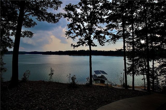 water view featuring a boat dock