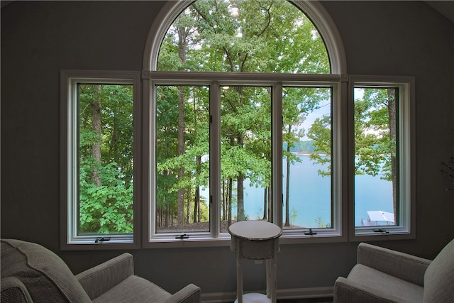 sitting room with a wealth of natural light