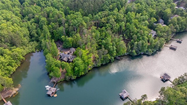 116 Stillwater Ct, Sunset, SC 29685 - photo 11