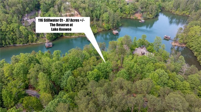 116 Stillwater Ct, Sunset, SC 29685 - photo 12