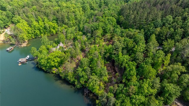 116 Stillwater Ct, Sunset, SC 29685 - photo 15