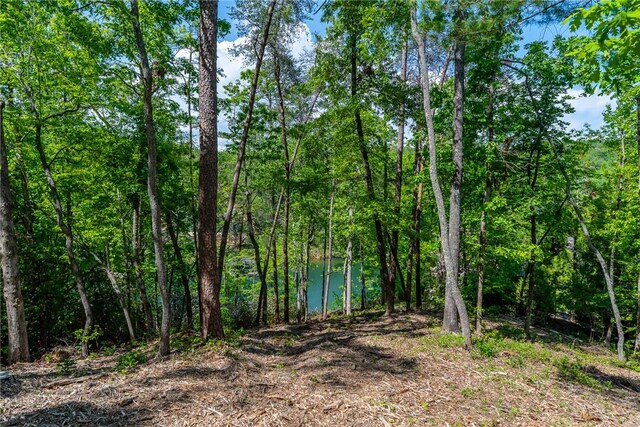 116 Stillwater Ct, Sunset, SC 29685 - photo 2