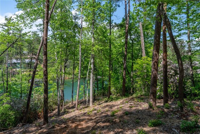 116 Stillwater Ct, Sunset, SC 29685 - photo 3
