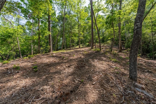 116 Stillwater Ct, Sunset, SC 29685 - photo 5