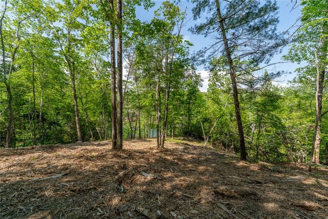 116 Stillwater Ct, Sunset, SC 29685 - photo 6