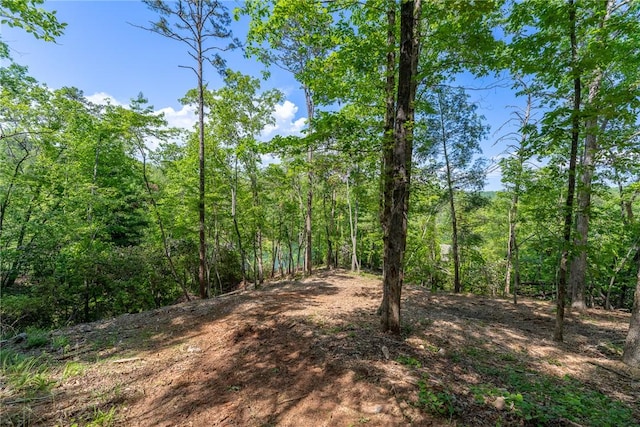 116 Stillwater Ct, Sunset, SC 29685 - photo 7