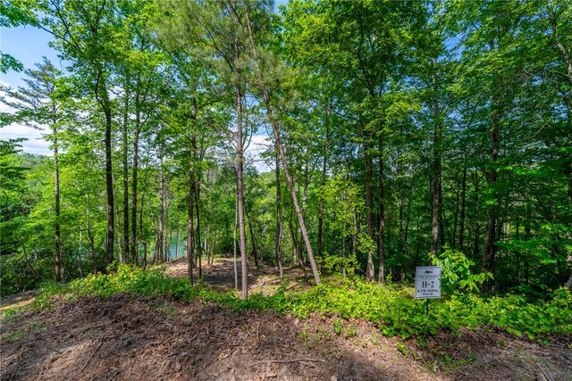 116 Stillwater Ct, Sunset, SC 29685 - photo 8