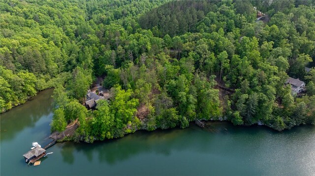 116 Stillwater Ct, Sunset, SC 29685 - photo 10