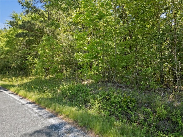 00 Lake Forest Dr, Waterloo SC, 29384 land for sale