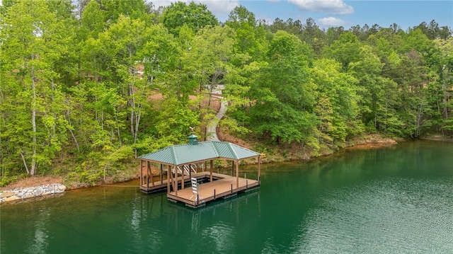 dock area with a water view