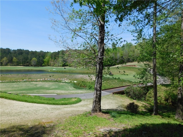 Listing photo 3 for Lot96 Cliffs S Parkway, Salem SC 29676