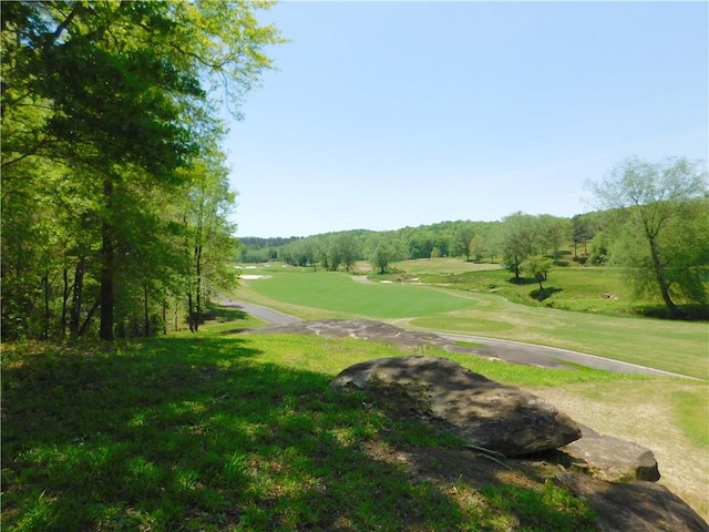 Lot96 Cliffs S Parkway, Salem, SC 29676 - photo 4