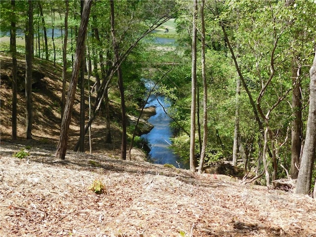 Lot96 Cliffs S Parkway, Salem, SC 29676 - photo 5