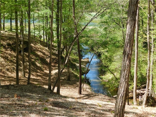 Lot96 Cliffs S Parkway, Salem, SC 29676 - photo 6