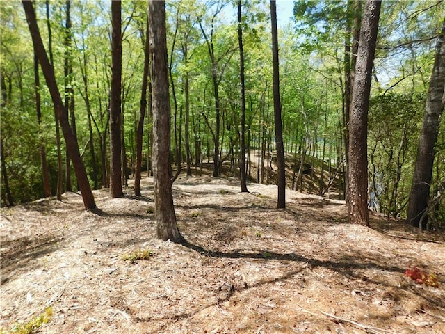 Lot96 Cliffs S Parkway, Salem, SC 29676 - photo 7