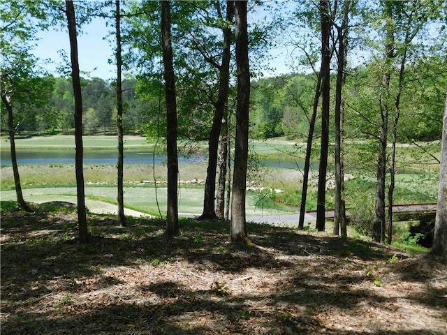 Lot96 Cliffs S Parkway, Salem, SC 29676 - photo 8