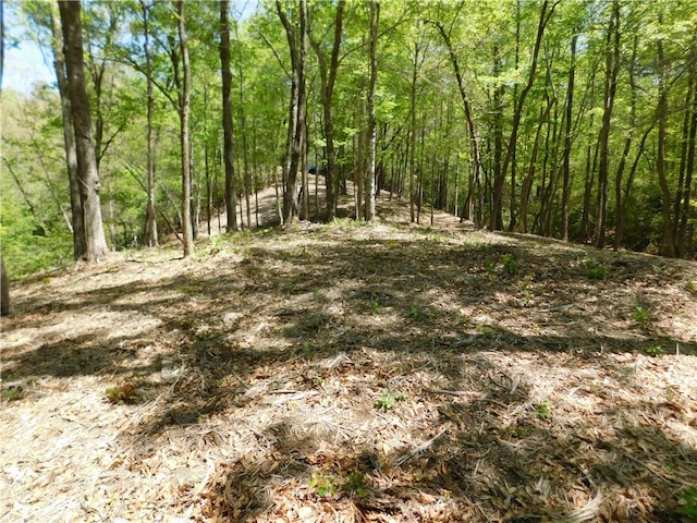 Lot96 Cliffs S Parkway, Salem, SC 29676 - photo 10