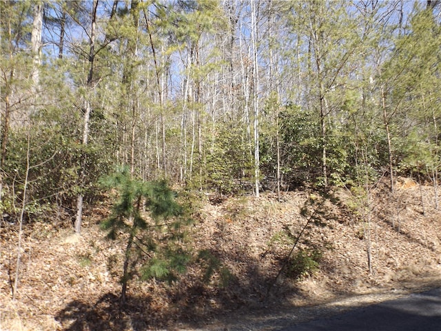 130 Fairway Woods, Pickens SC, 29671 land for sale