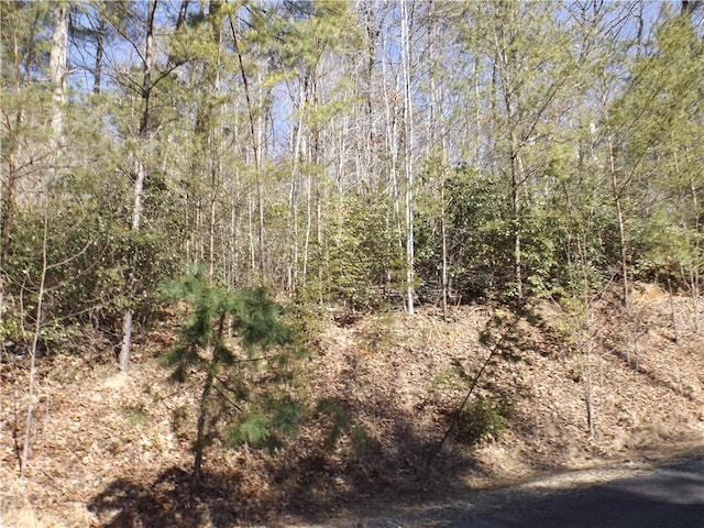 130 Fairway Woods, Pickens, SC 29671 - photo 1