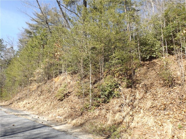 130 Fairway Woods, Pickens, SC 29671 - photo 2