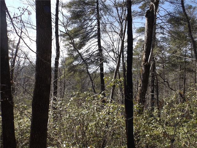 Listing photo 3 for 130 Fairway Woods, Pickens SC 29671