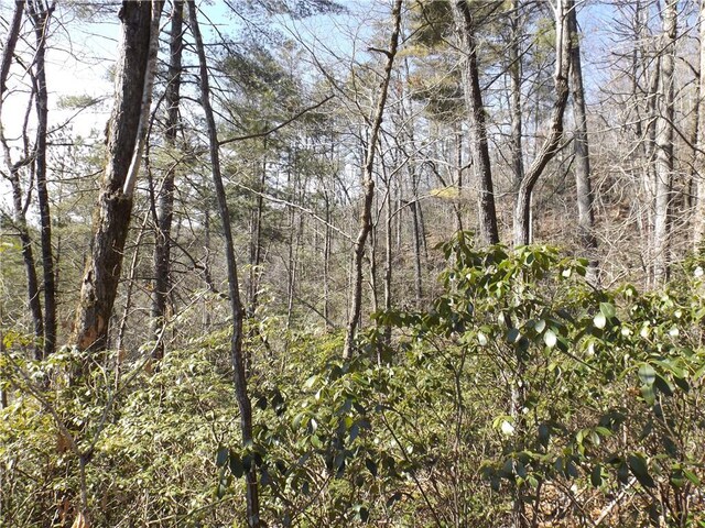 130 Fairway Woods, Pickens, SC 29671 - photo 4