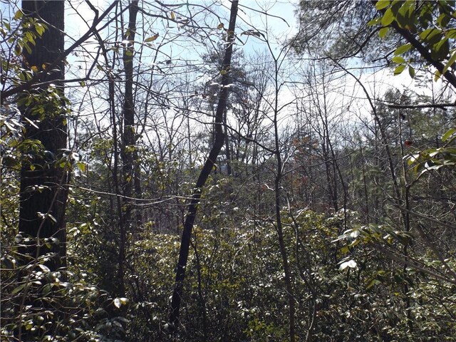 130 Fairway Woods, Pickens, SC 29671 - photo 6