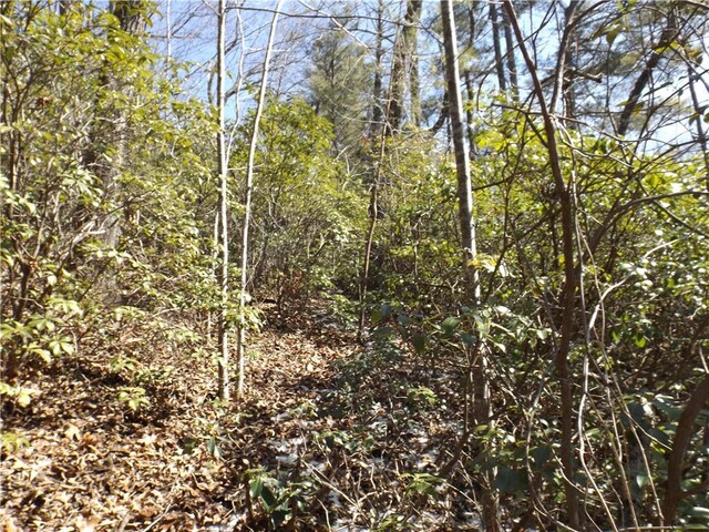 130 Fairway Woods, Pickens, SC 29671 - photo 7