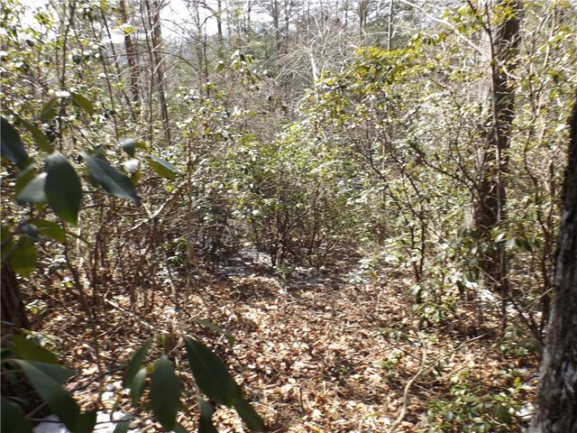 130 Fairway Woods, Pickens, SC 29671 - photo 8