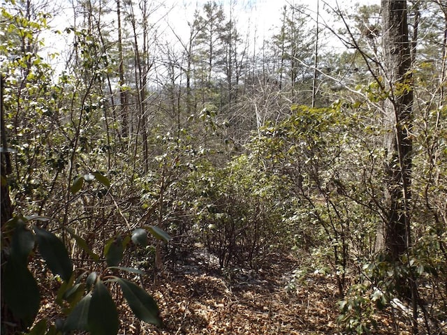 130 Fairway Woods, Pickens, SC 29671 - photo 9