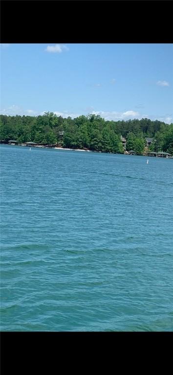 149 Gap Hill Rd, Six Mile, SC 29682 - photo 7